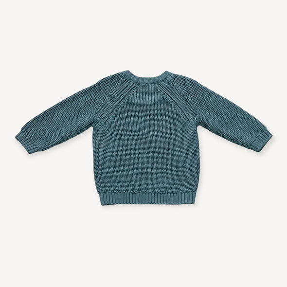 Lion Baby Sweater in Teal Blue