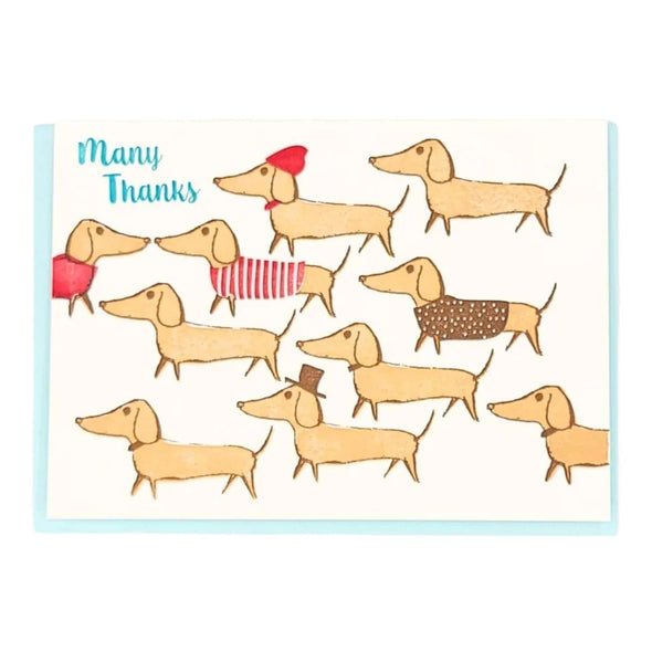 Dachshund Boxed Cards Set of 6