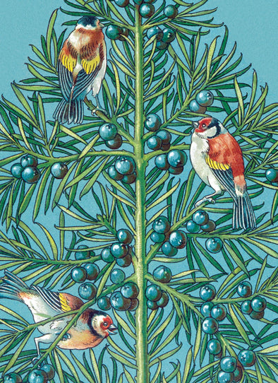 Three Goldfinches Boxed Cards Set of 8